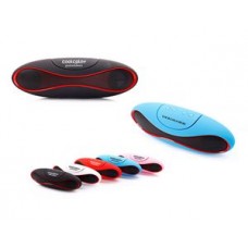 Oval Bluetooth Speaker